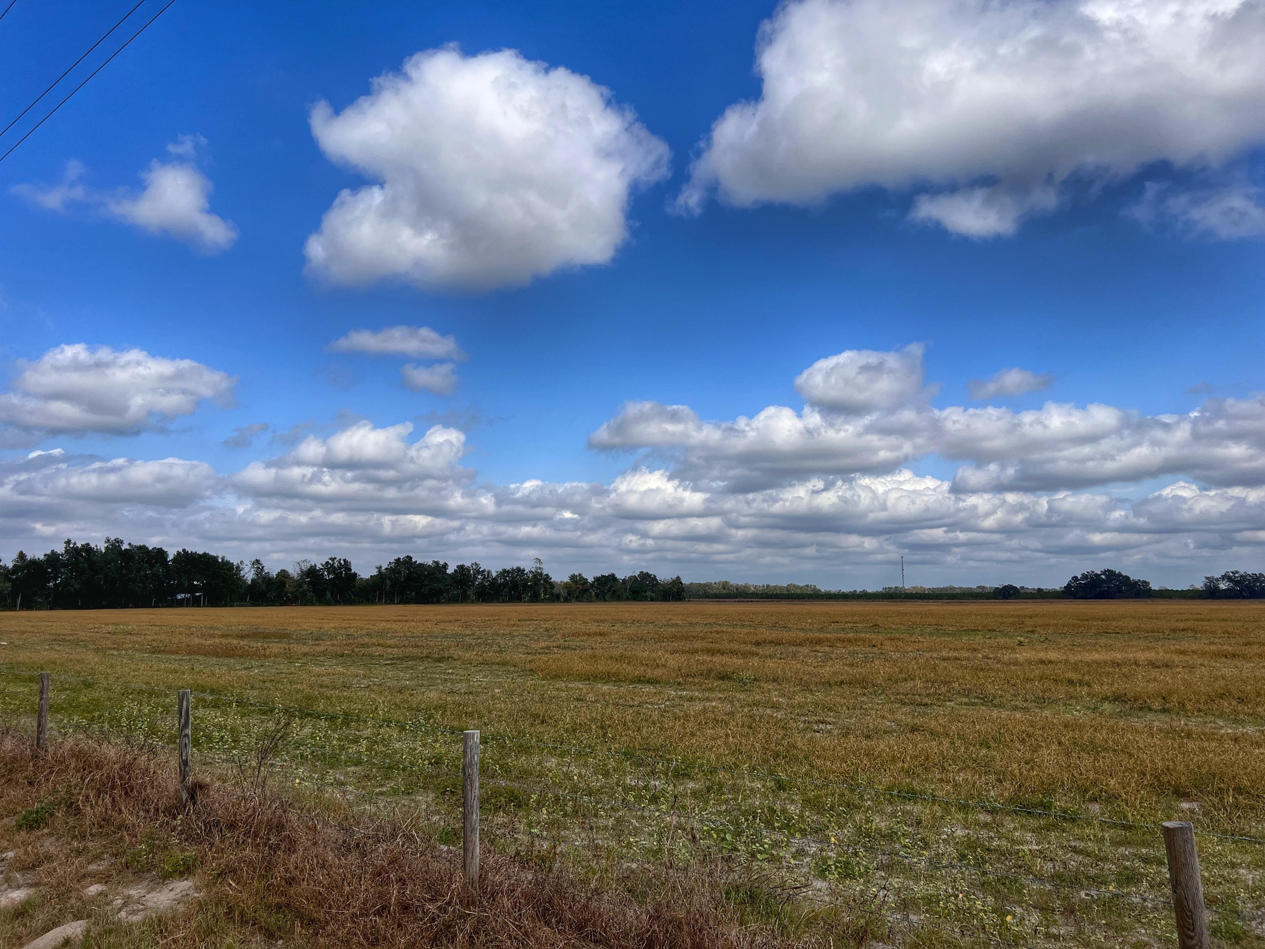 40 Acres, Northwest 50th Street, Chiefland, FL 32626 Land and Farm