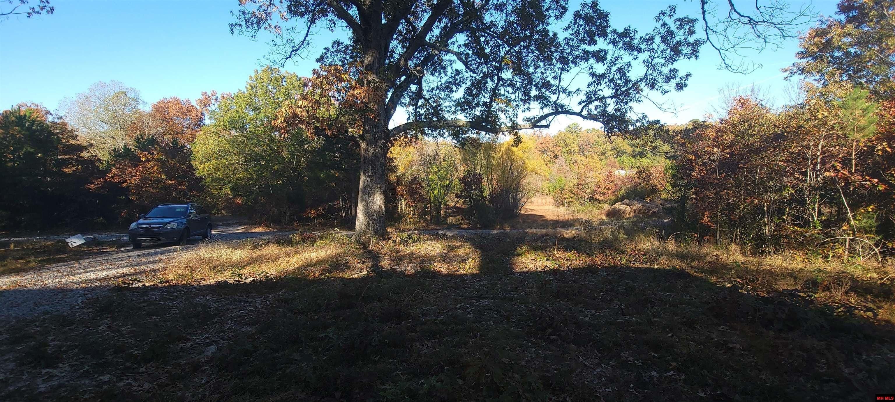 3.17 Acres, 165 FARMER CIRCLE, Salesville, AR 72653 Land and Farm
