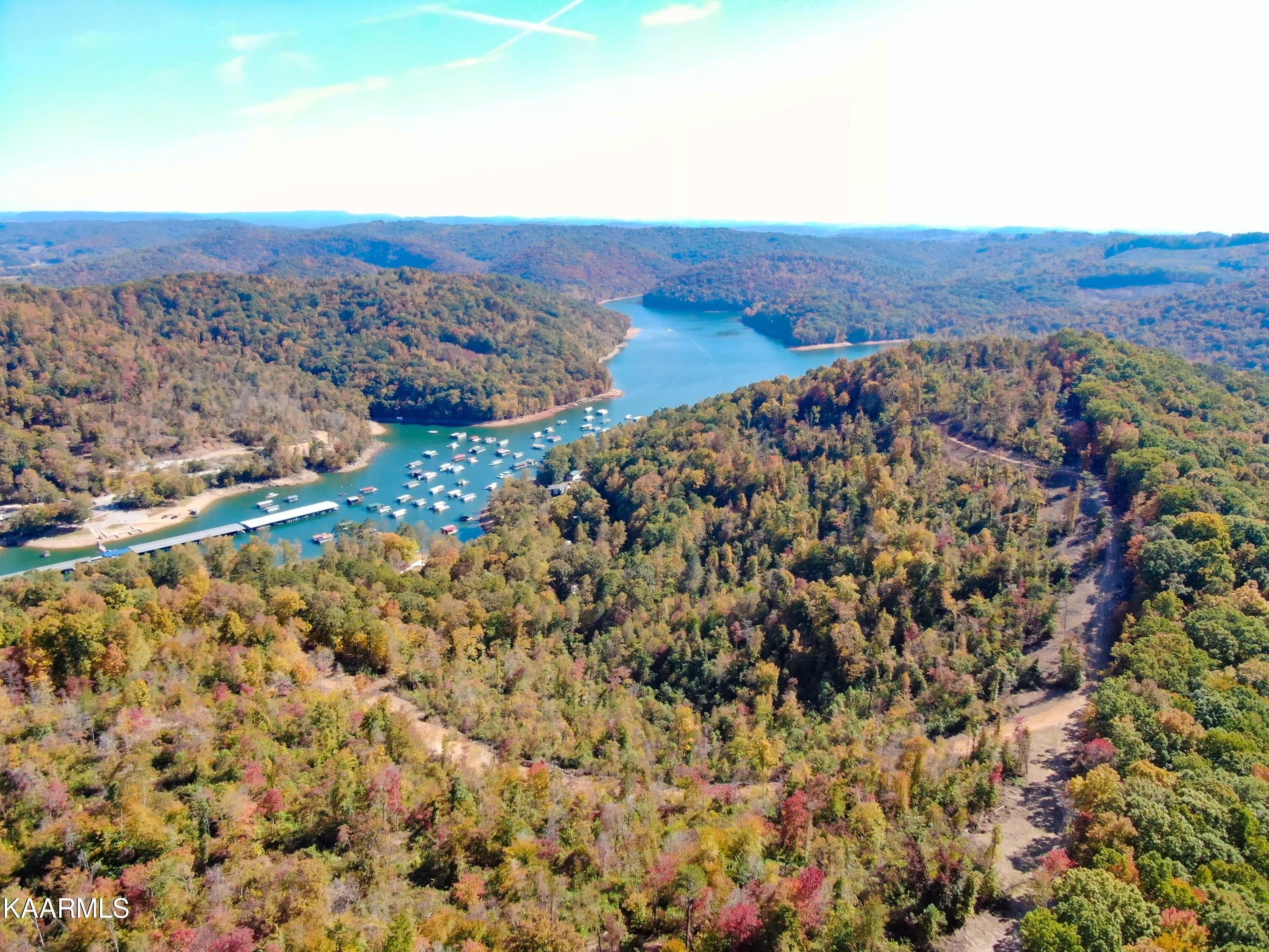 121.1 Acres, Braden Rd, Speedwell, TN 37870 Land and Farm