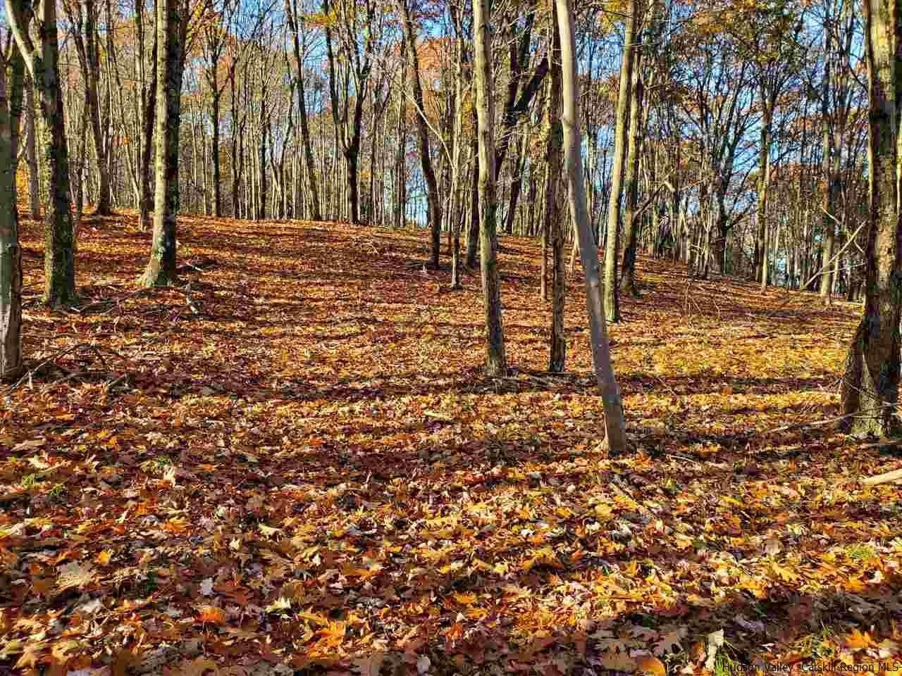 3 Acres, TBD Skyline Drive, Neversink, NY 12765 Land and Farm