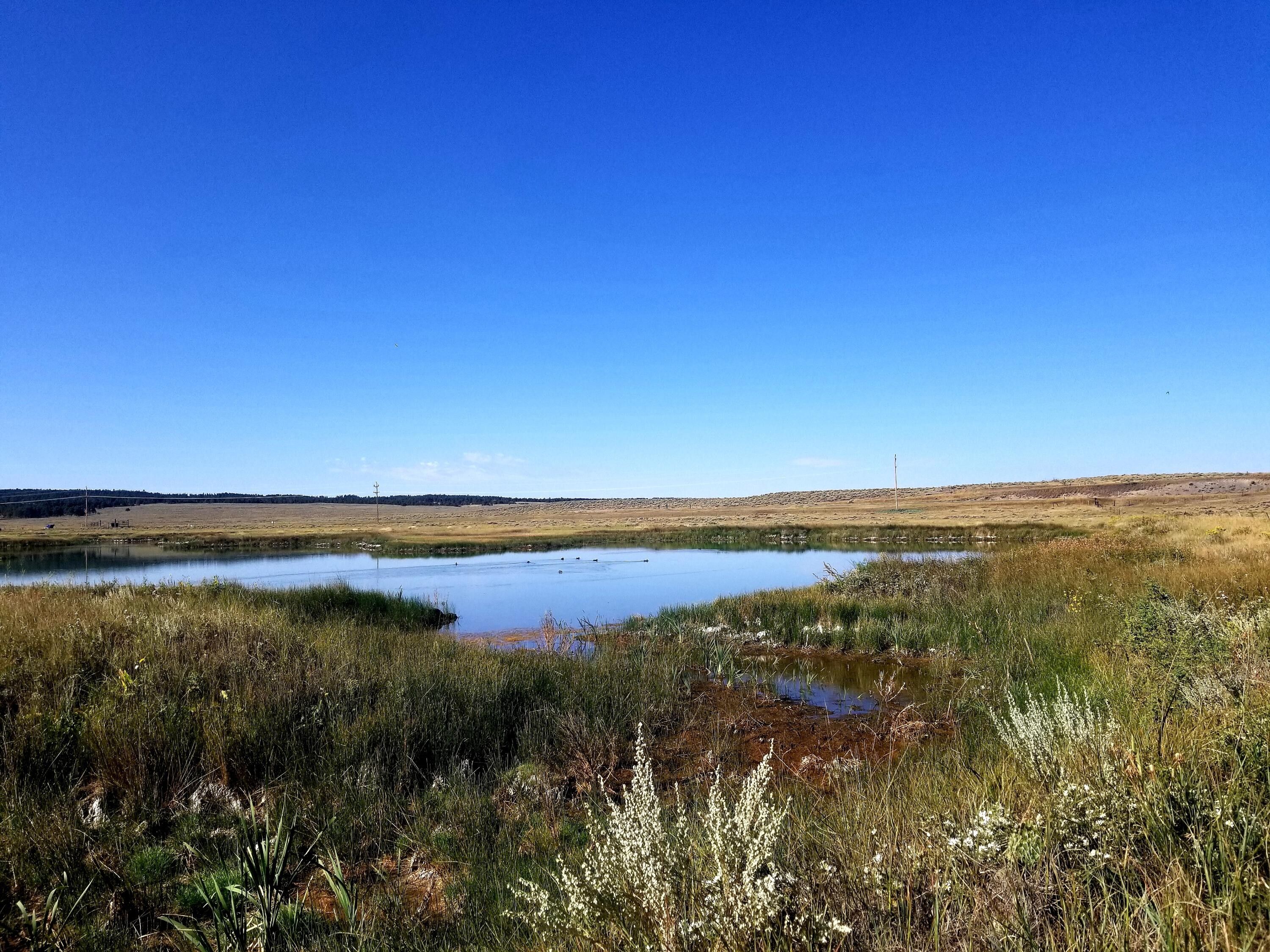 24.68 Acres, Lot 1e Butte View Lane, Grass Range, MT 59032 Land and Farm