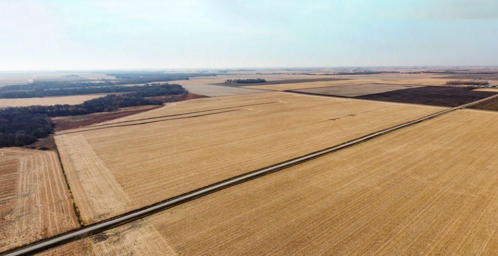 160 Acres, Renwick, IA Land and Farm