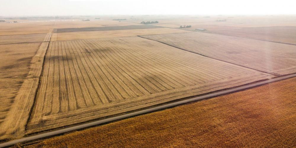 80 acres in Radcliffe, IA, Land and Farm