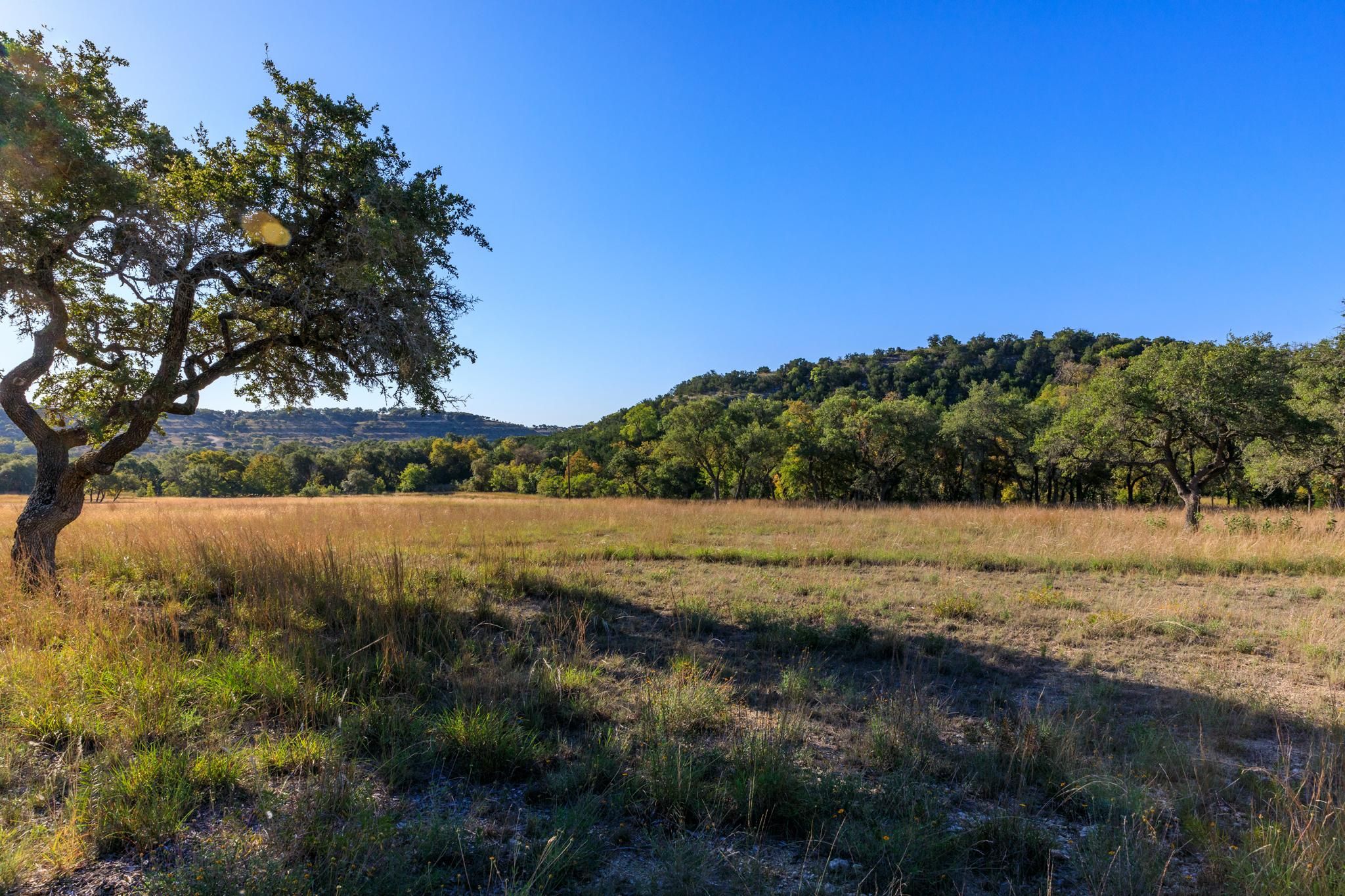 25.85 Acres, 21R Las Colinas Drive, Dripping Springs, TX 78620 Land