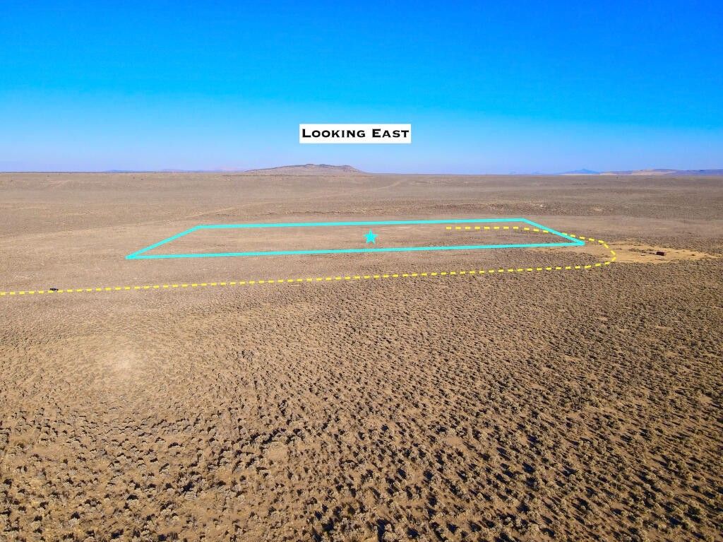 20 Acres, 0 Hanson Valley Road, Christmas Valley, OR 97641 Land and Farm