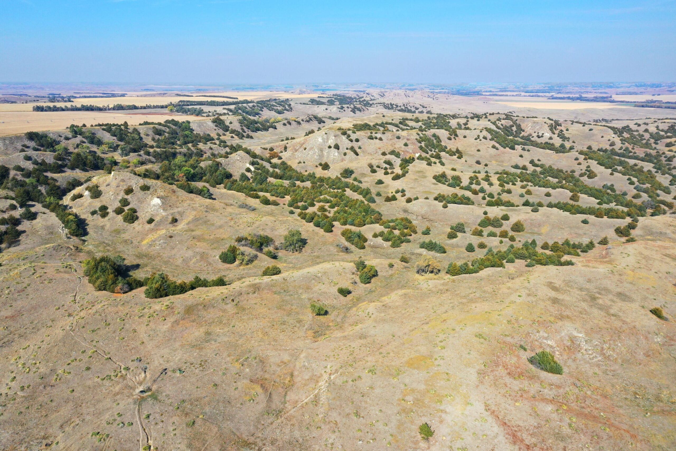 Callaway, NE 68825, Callaway, NE 68825 Land and Farm