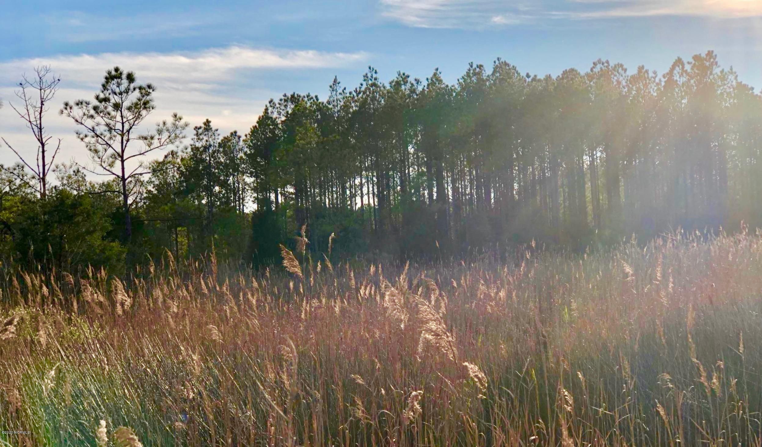 50 Acres, 729 Hodges Rd, Scranton, NC 27875 Land and Farm