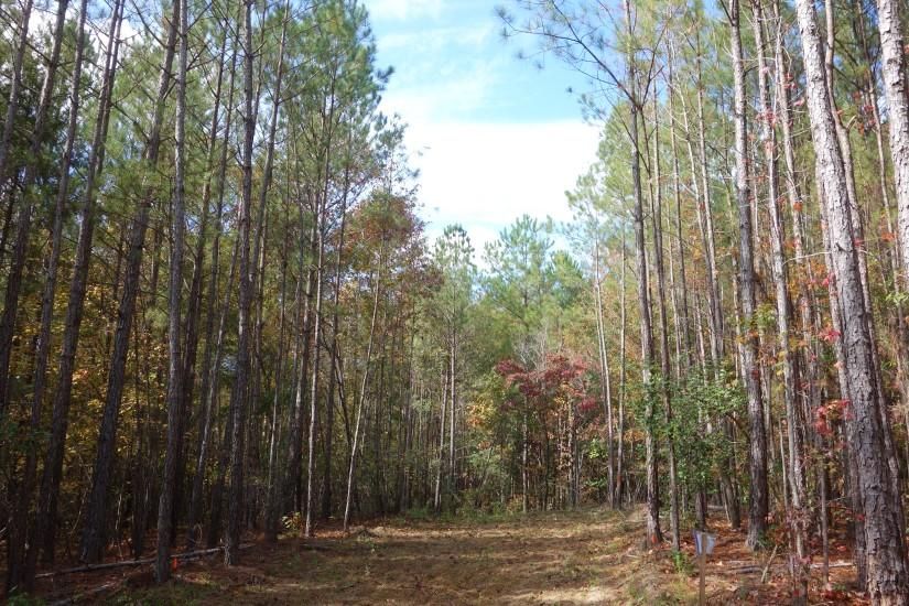 Broad River Road, Pomaria, SC 29126 MLS 9 Acres Tract 1 Pomaria