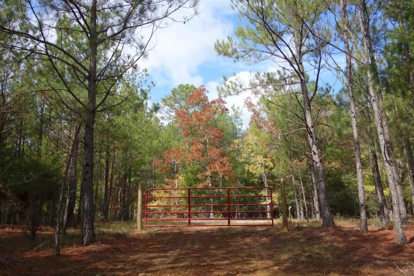 Buzhardt Road, Pomaria, SC 29126 MLS 18 Acres Tract 5 Pomaria