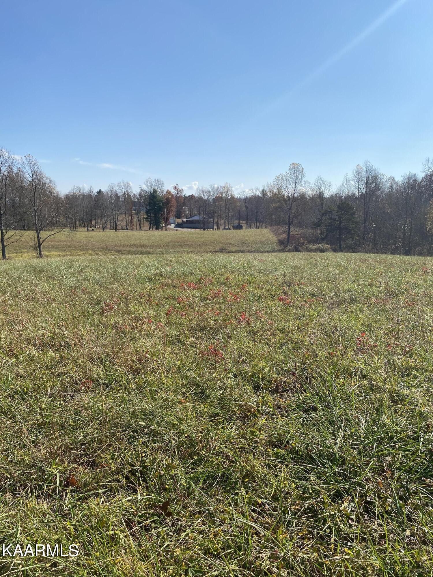 3.75 Acres, Leatherwood Rd, Oneida, TN 37841 Land and Farm