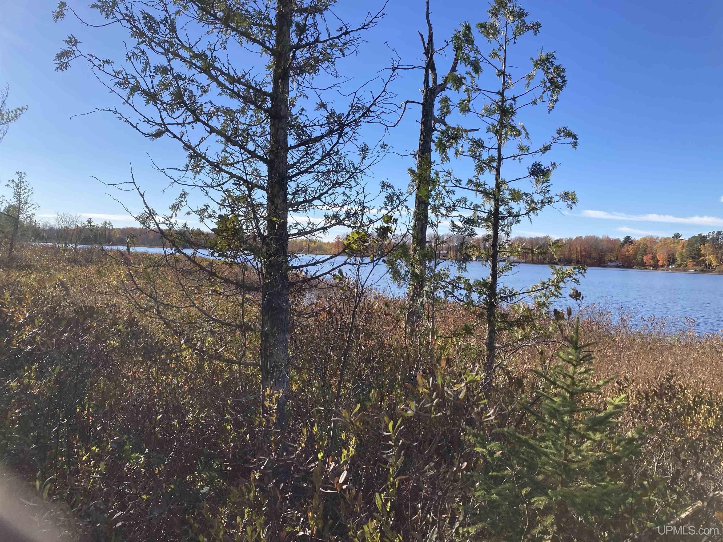 160 Acres, TBD Sigan Rd, Deerton, MI 49822 Land and Farm