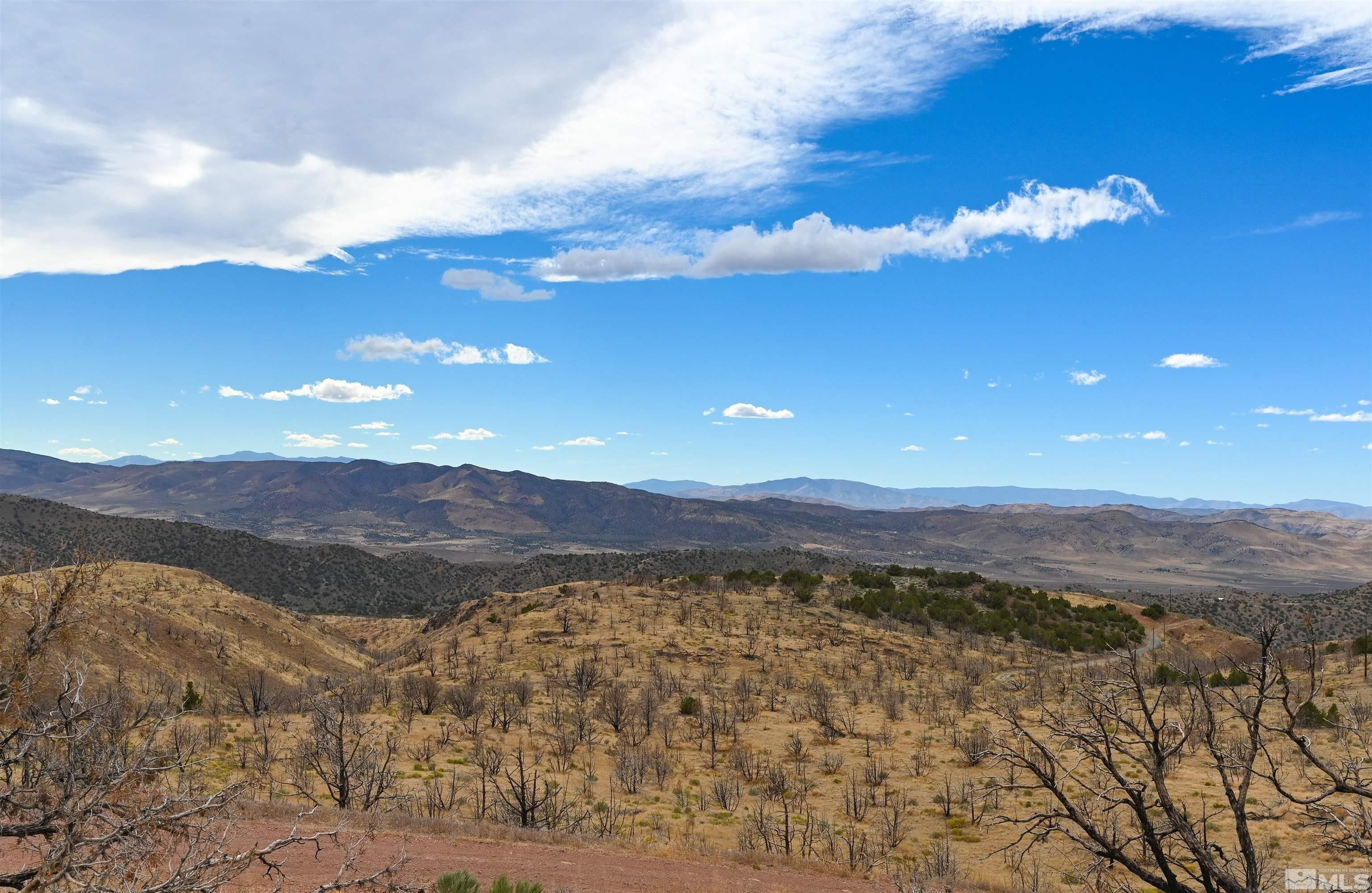 40.07 Acres, Wrangler Rd., Reno, NV 89510 Land and Farm