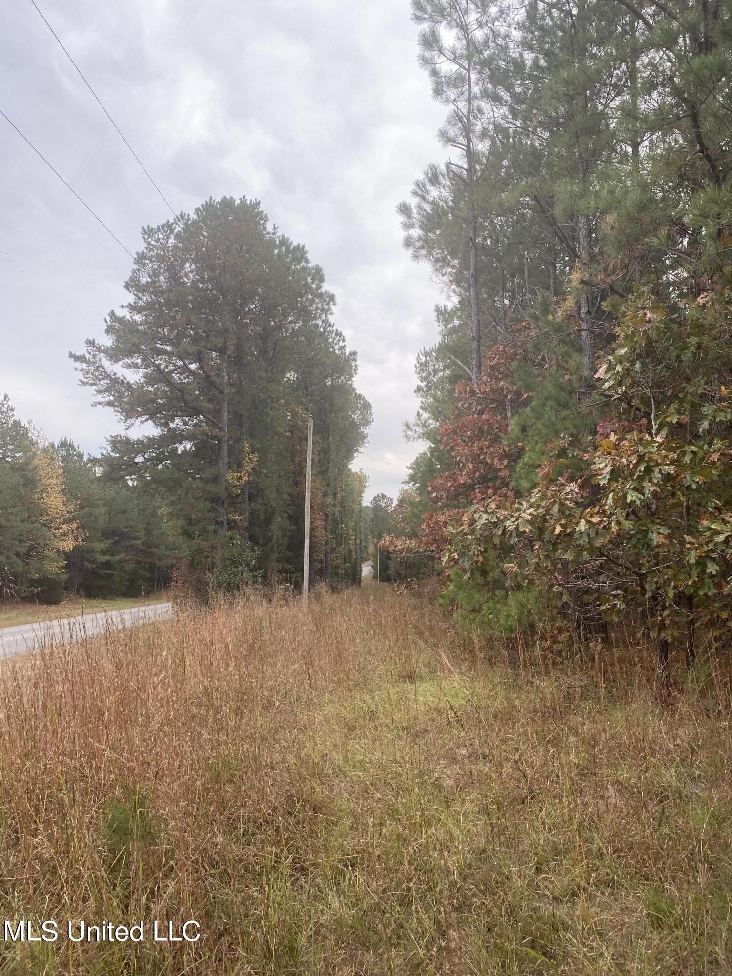 11 Acres, Bethsalem Concord Road, Ackerman, MS 39735 Land and Farm