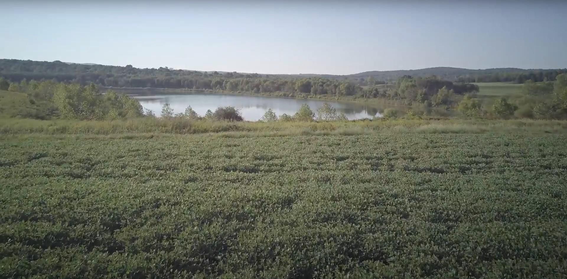 198 Acres, Kedron Road, Equality, IL 36026 Land and Farm