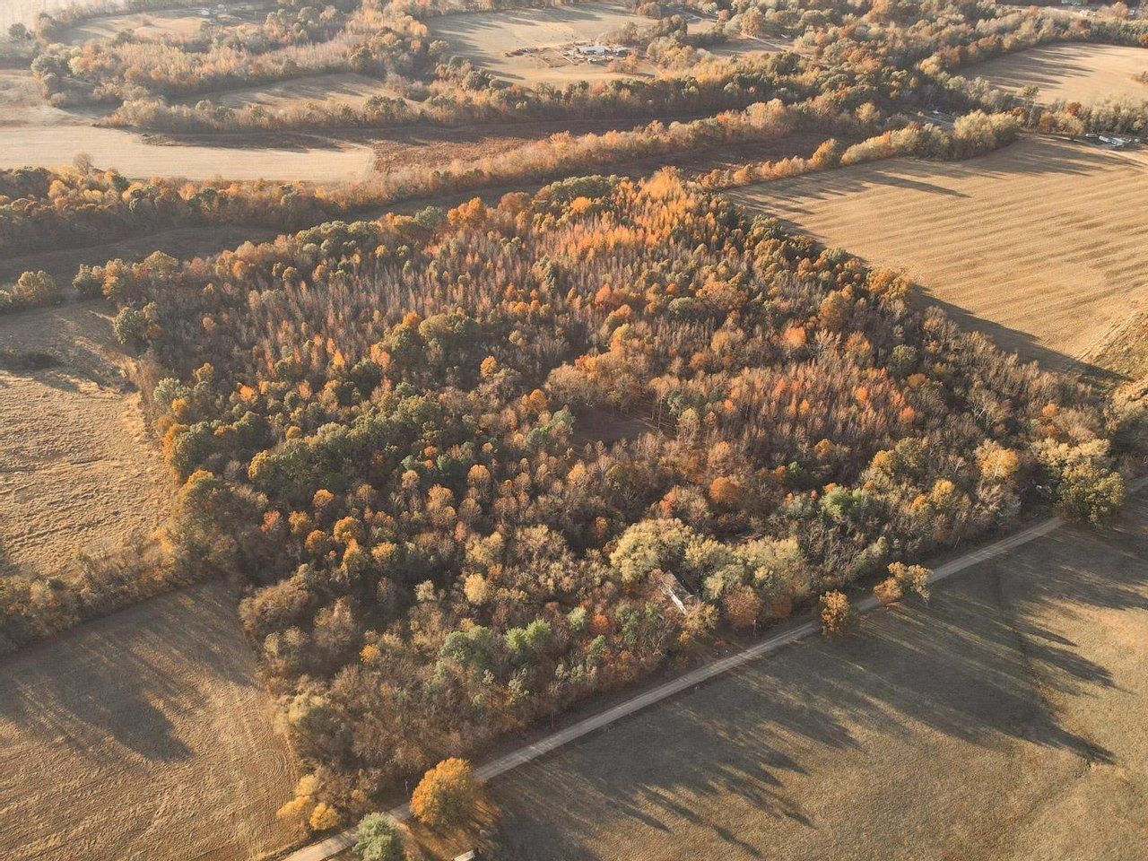 38 Acres, 22593 County Road 503, Bloomfield, MO 63825 Land and Farm