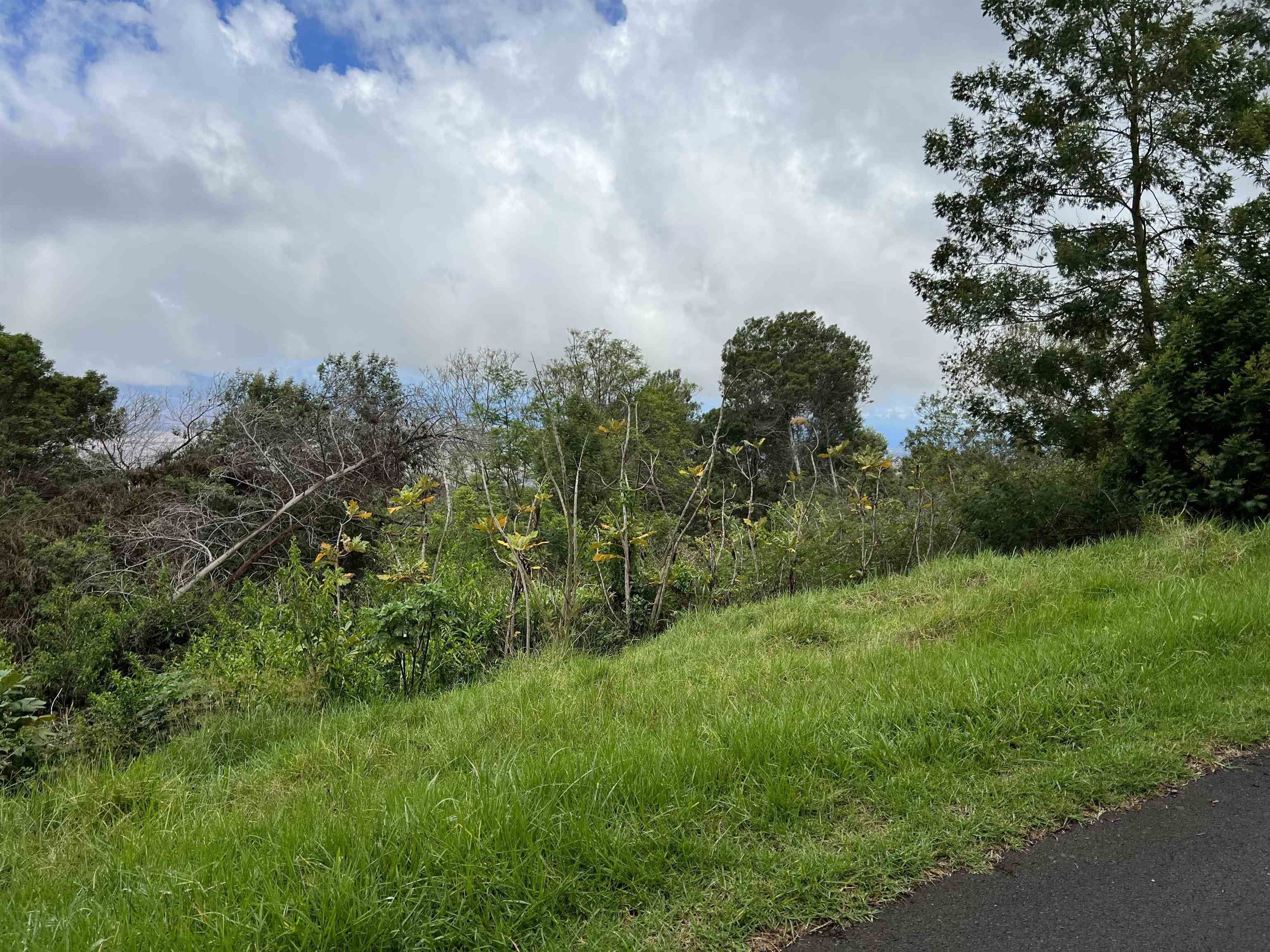 2 Acres, Middle Rd, Kula, HI 96790 Land and Farm