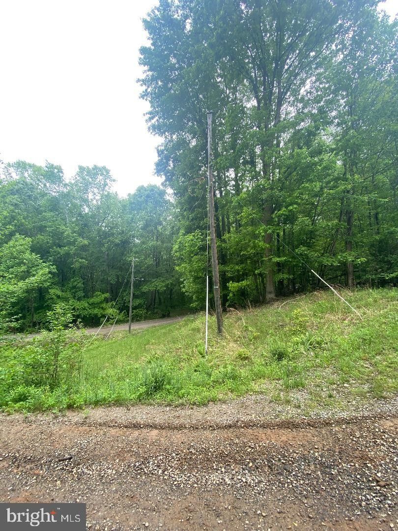 6.09 Acres, 0 POTOMAC FOREST DRIVE, King VA 22485 Land and Farm
