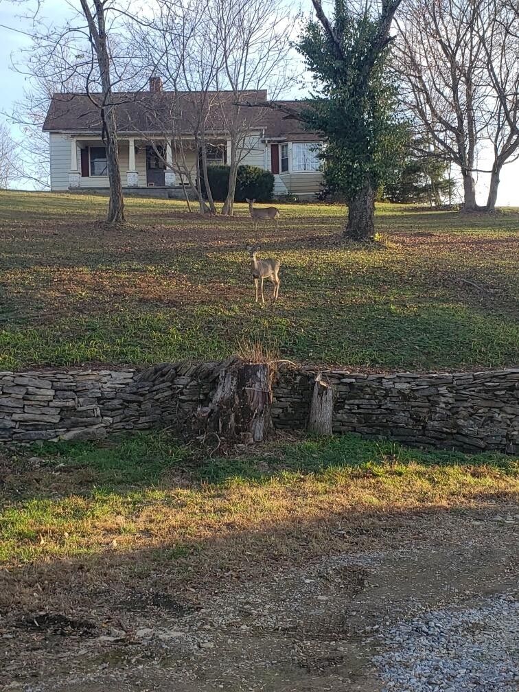 53 Acres, 2659 Perryville Road, Harrodsburg, KY 40330 Land and Farm