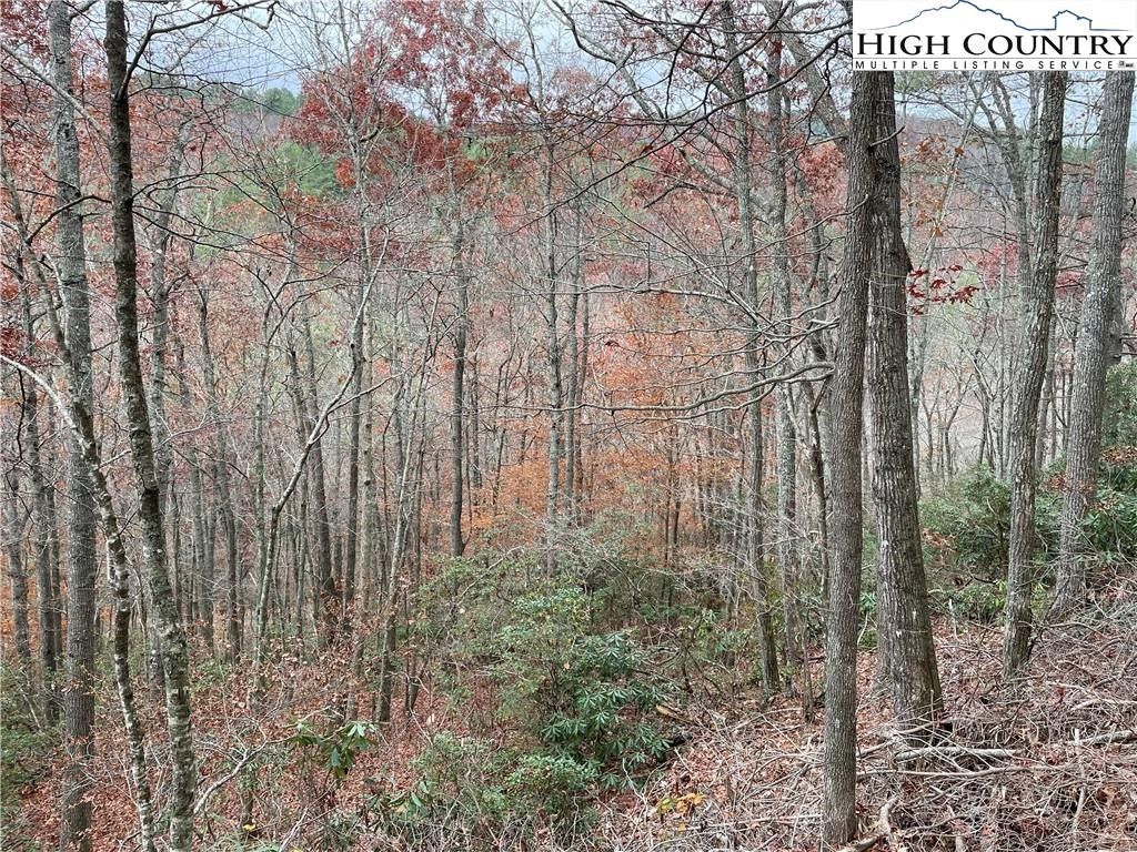 2.36 Acres, Tbd Lots 15 & 16 Lost Trail, West Jefferson, NC 28694