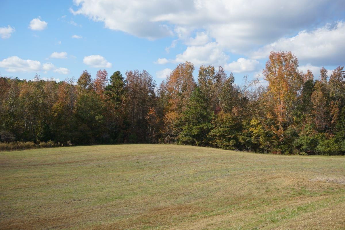 33 Acres, Armenia Road, Chester, SC 29706 Land and Farm