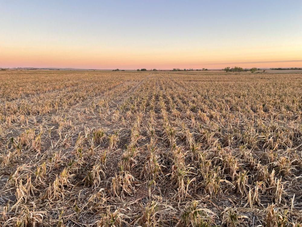 304.9 Acres, Plainville, KS Land and Farm