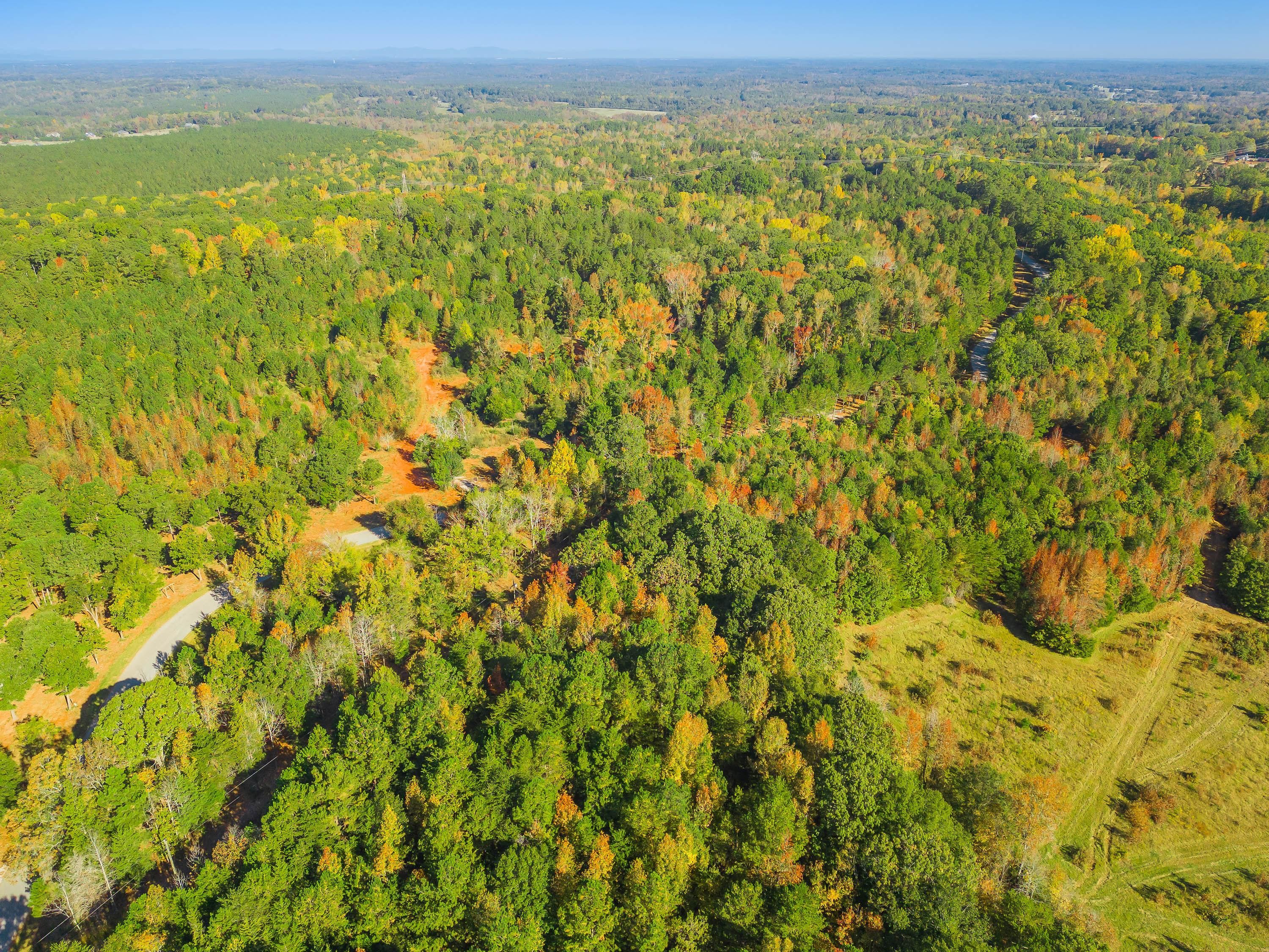 Mordeci Mountain Road, Gray Court, SC 29645 Land and Farm
