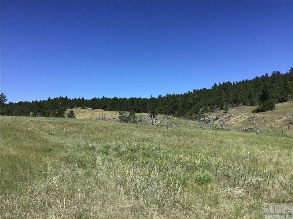 40 Acres, 147 Haystack Coulee ROAD, Reed Point, MT 59069 Land and Farm