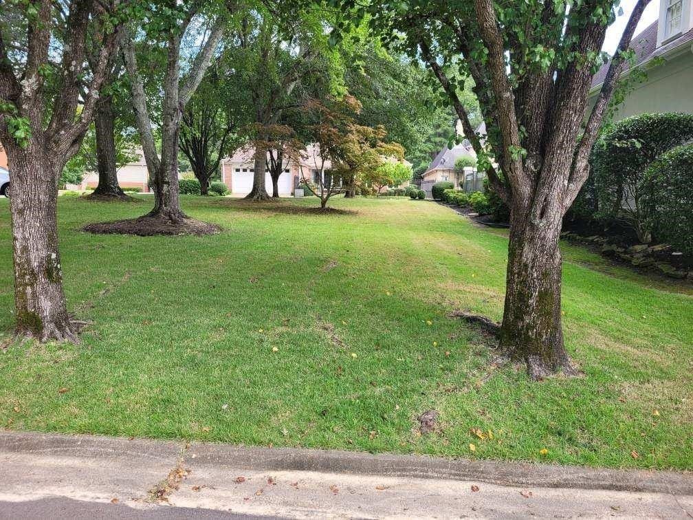 0.13 Acres, 2474 EAGLERIDGE, Memphis, TN 38016 Land and Farm