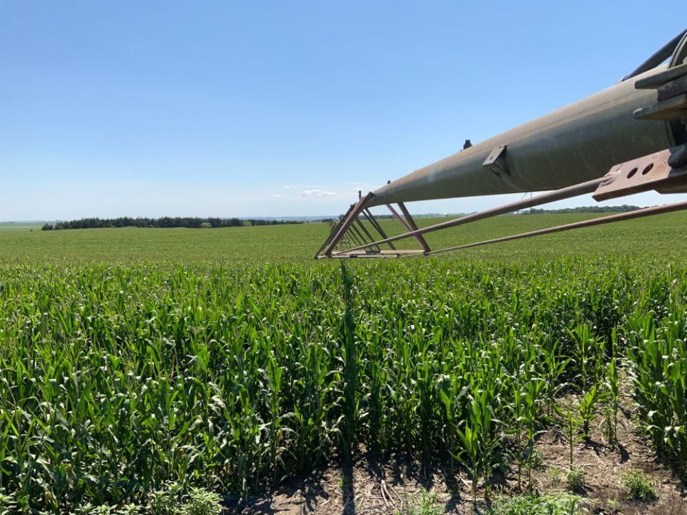 913.13 acres in Neligh, NE, Land and Farm