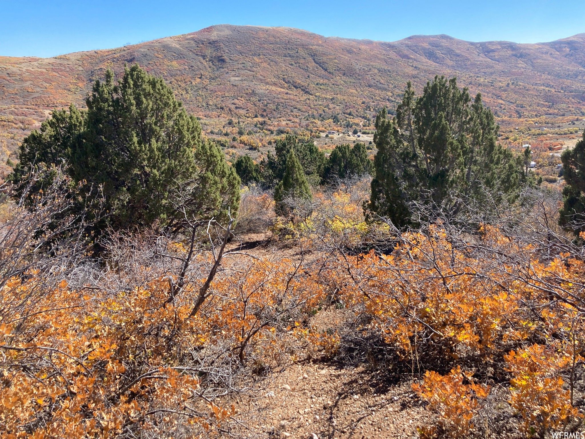 10 Acres, 6162 WATER HOLLOW, Fountain Green, UT 84632 Land and Farm