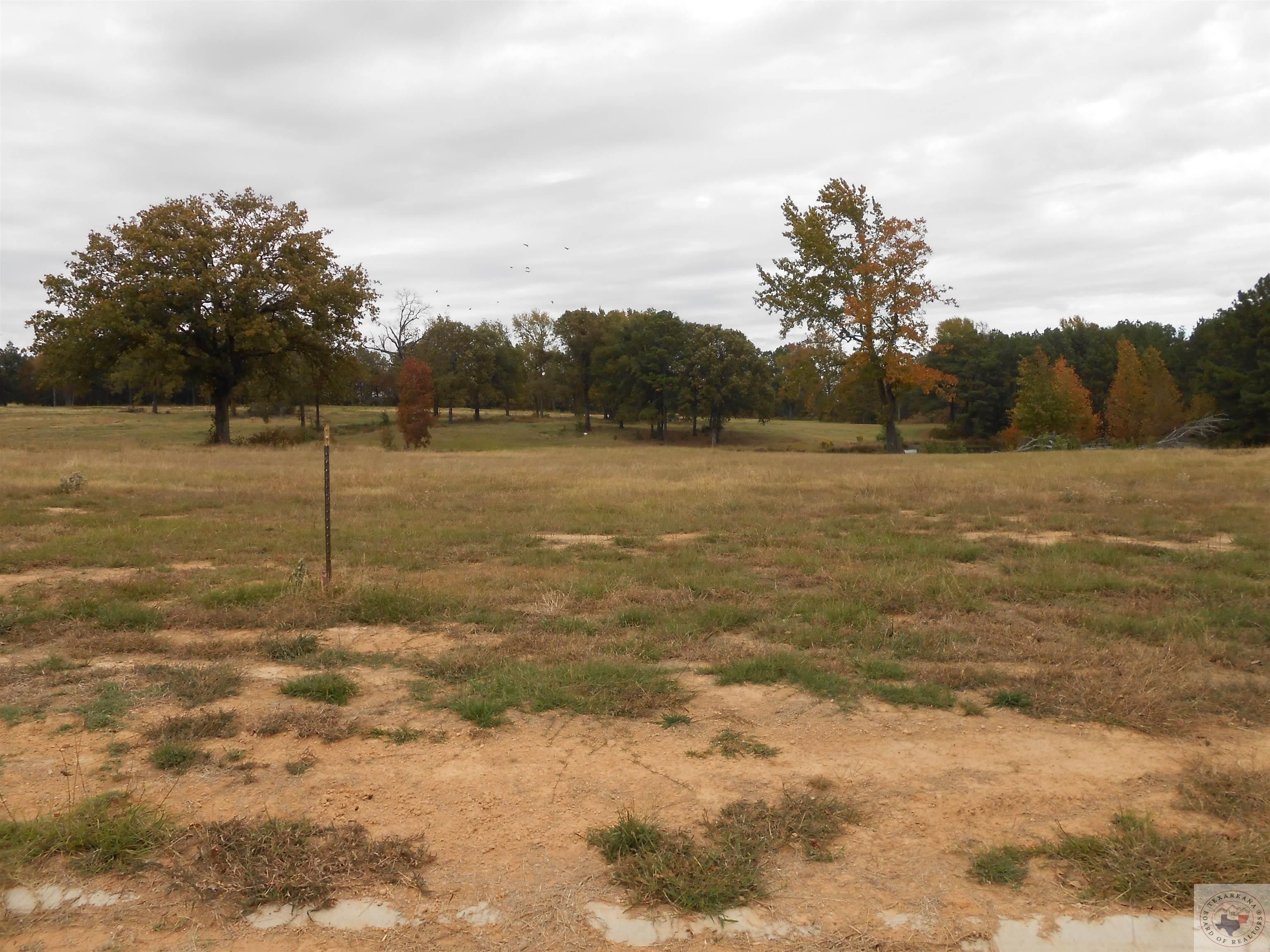 1.11 Acres, 6001 Spearhead Lane, Texarkana, AR 71854 Land and Farm