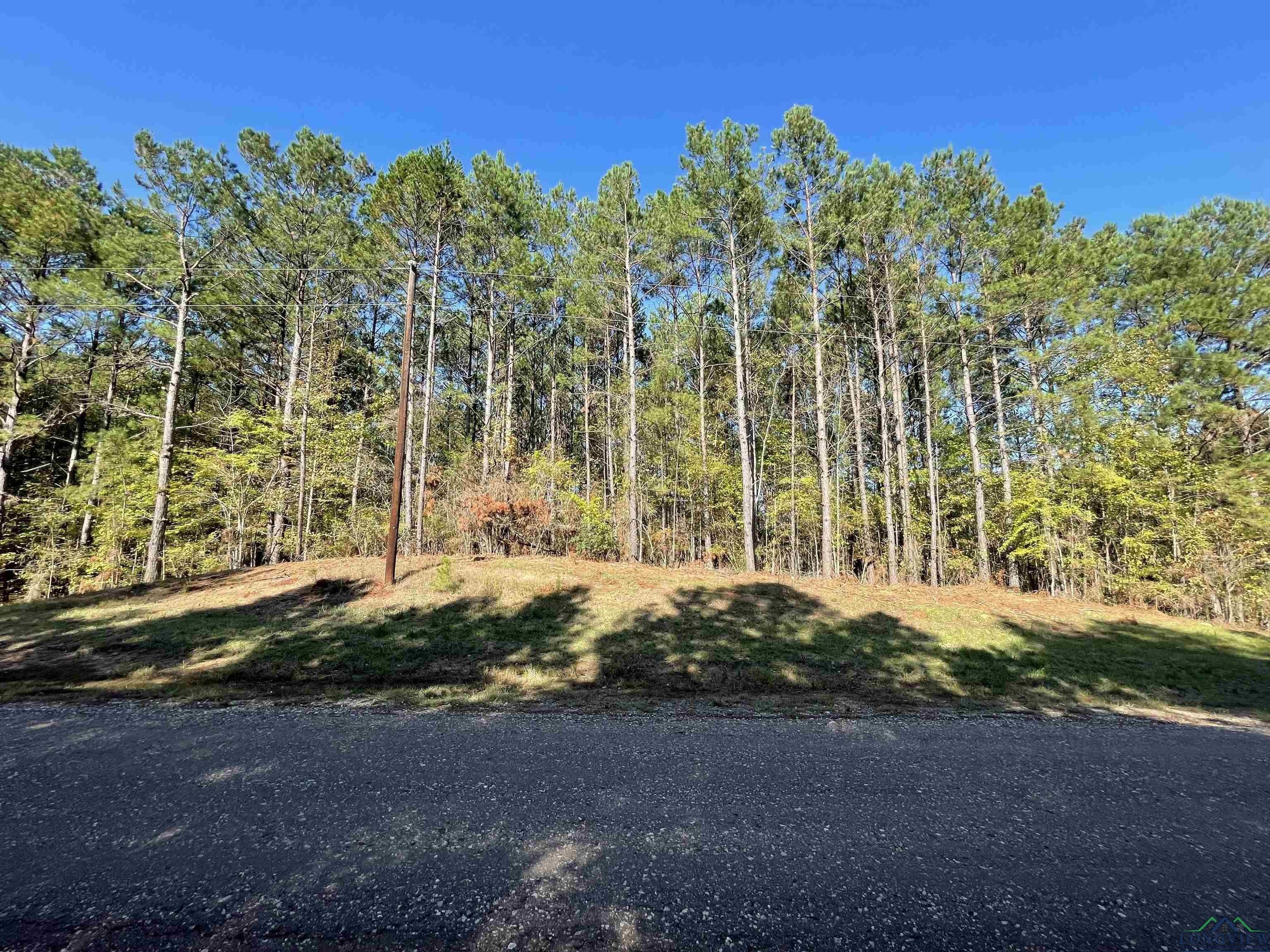 2.7 Acres, Tbd Circle DR, Beckville, TX 75631 Land and Farm