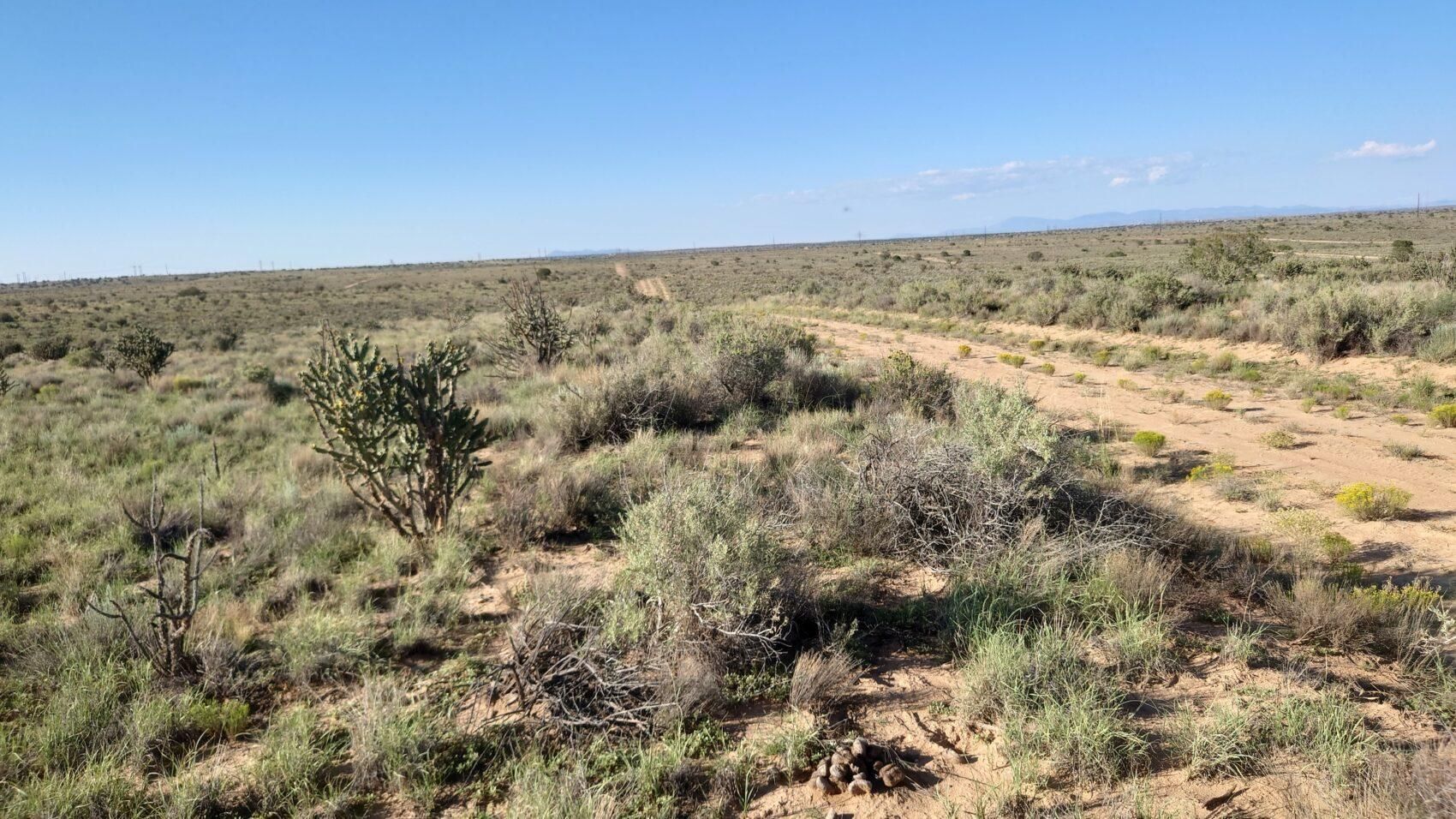 1 Acres, A5972, Rio Rancho, NM 87144 Land and Farm
