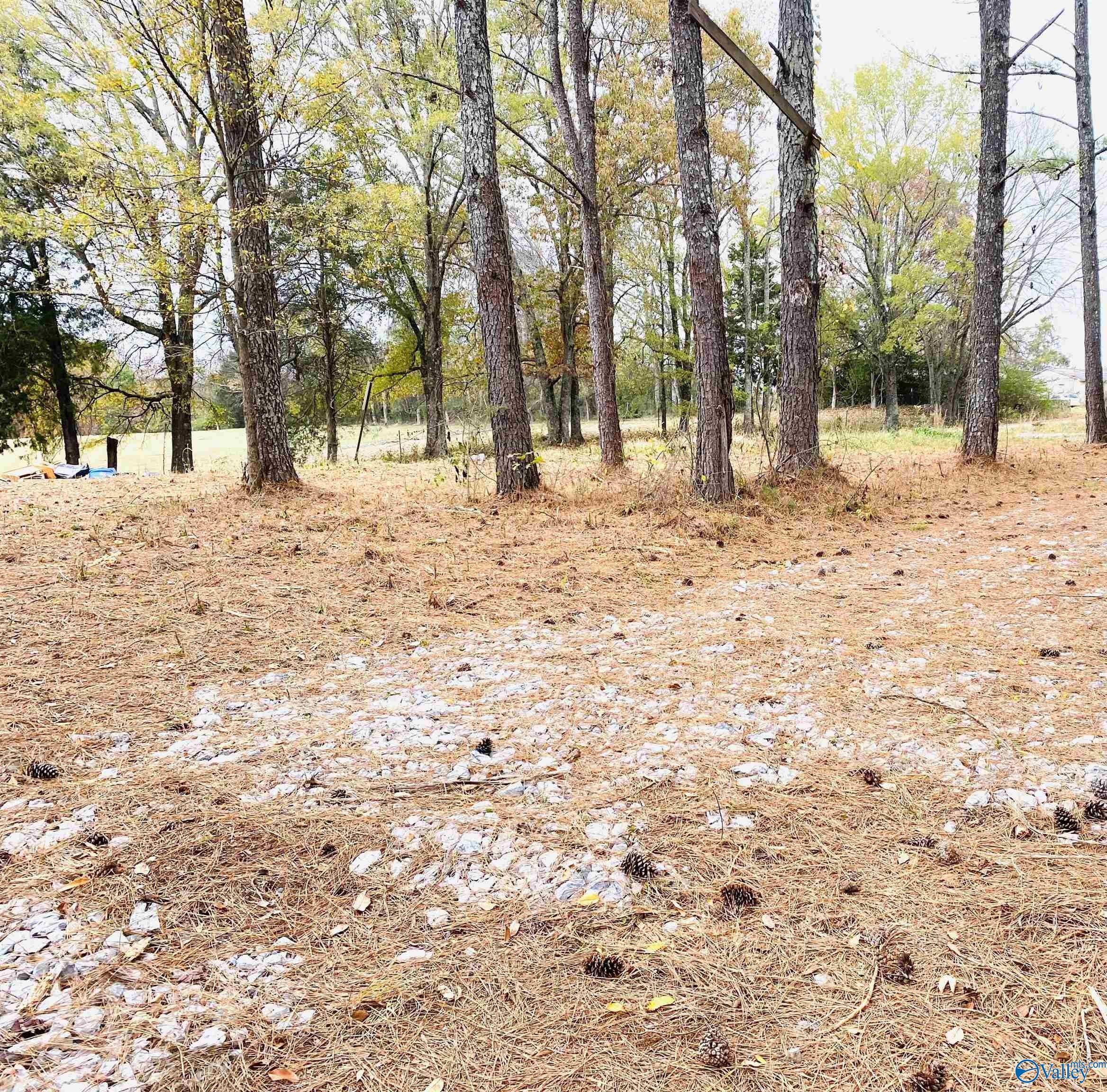 7.15 Acres, 186 Hillsboro Drive, New Market, AL 35761 Land and Farm