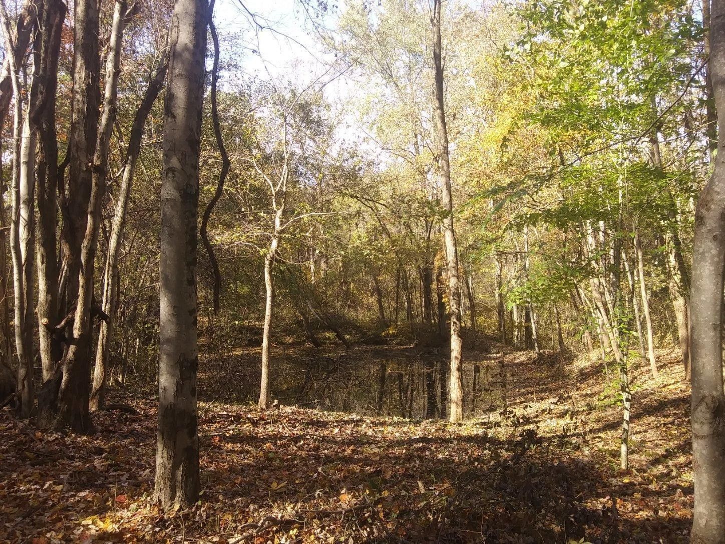 89 Acres, 0 County Road 90 Road, Crooksville, OH 43731 Land and Farm