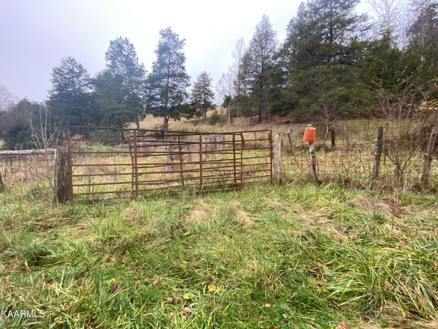 40 Acres, Speaks Branch, Rose Hill, VA 24281 Land and Farm