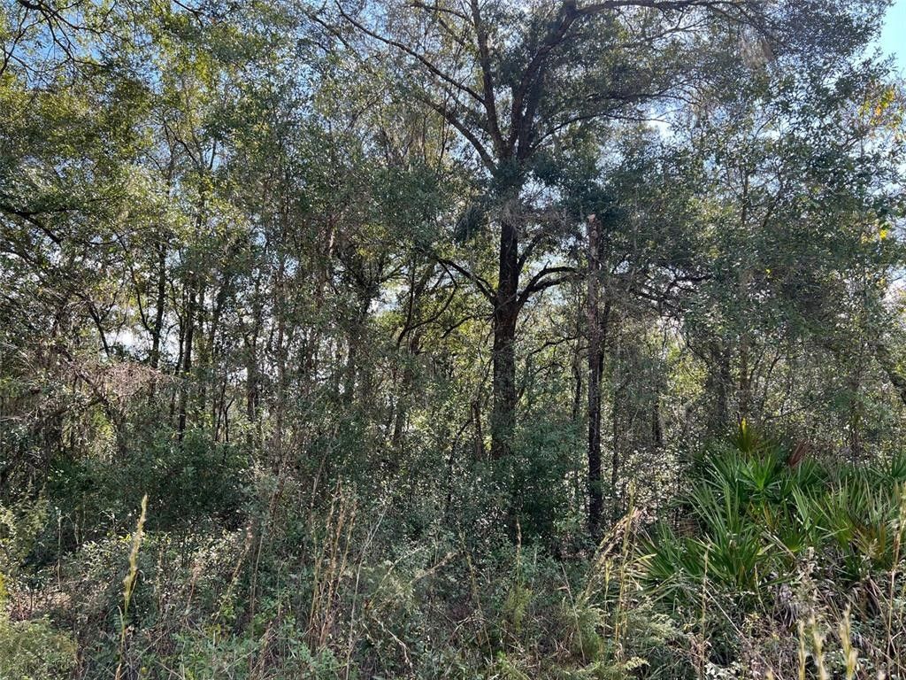 2.59 Acres, 0 SW 53RD PLACE, Ocala, FL 34481 Land and Farm