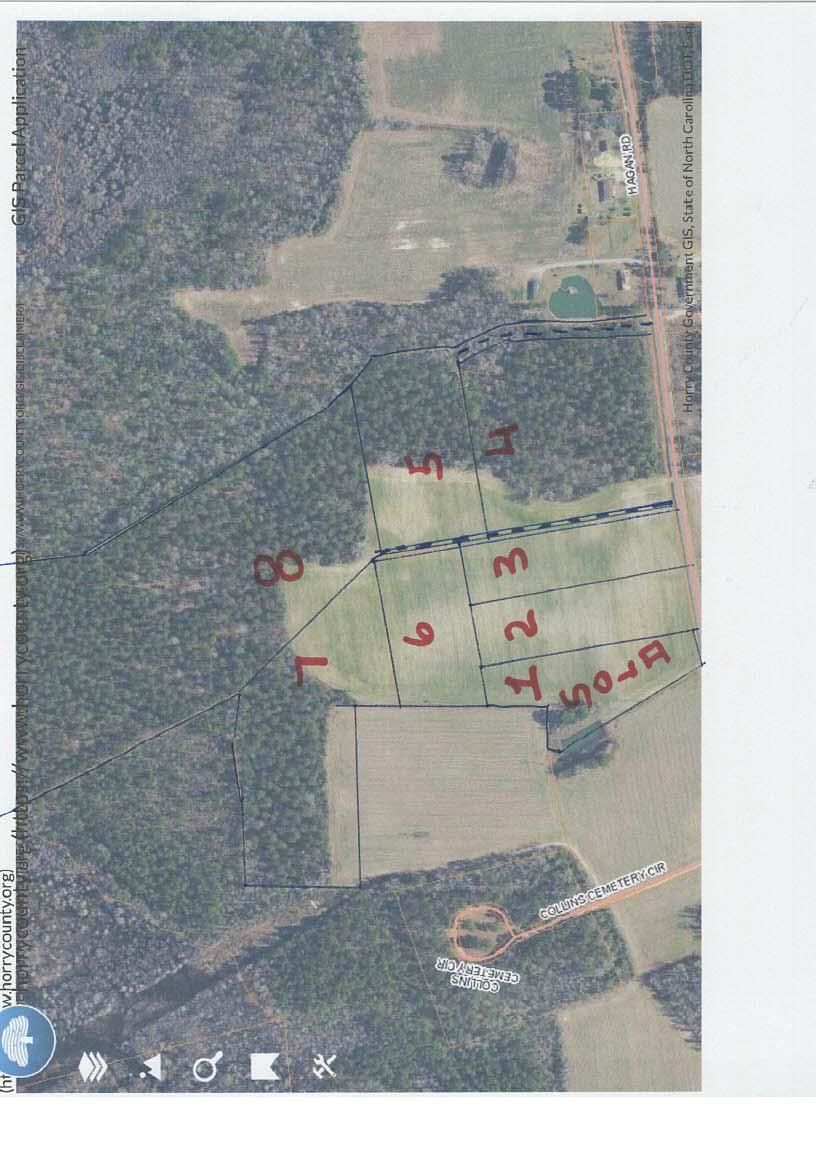 3 Acres, TBD Hagan Rd, Green Sea, SC 29545 Land and Farm