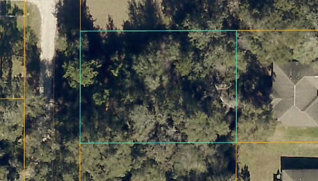 0.32 Acres, SE 35TH COURT, Belleview, FL 34420 Land and Farm