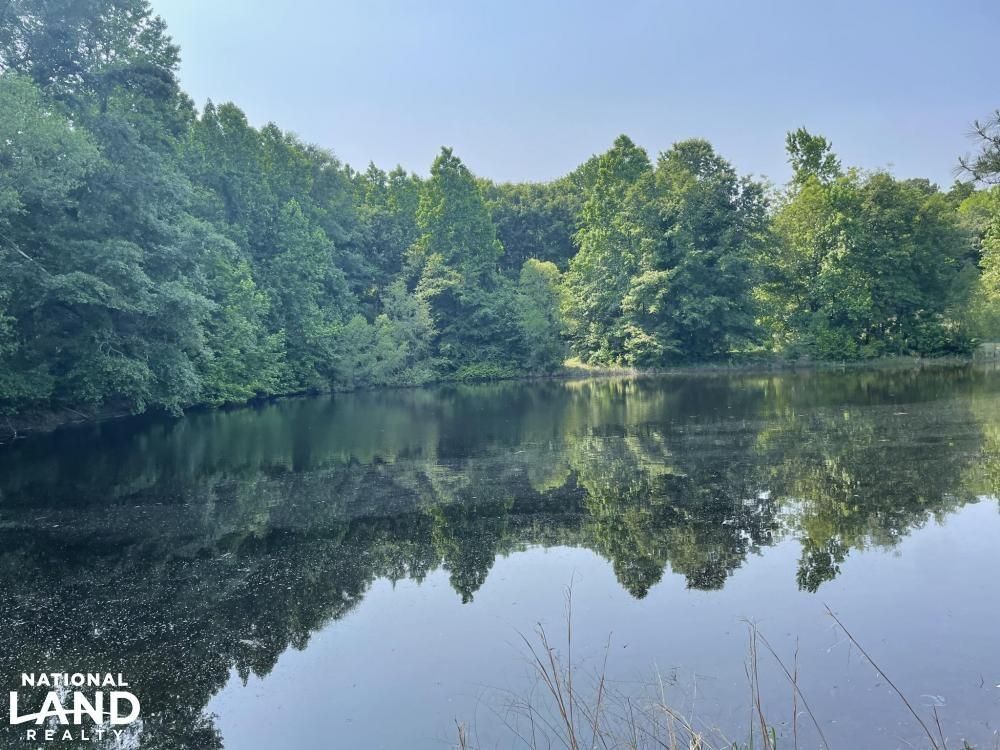 56 Acres, 0 Sparrow Drive, Sawyerville, AL 36776 Land and Farm