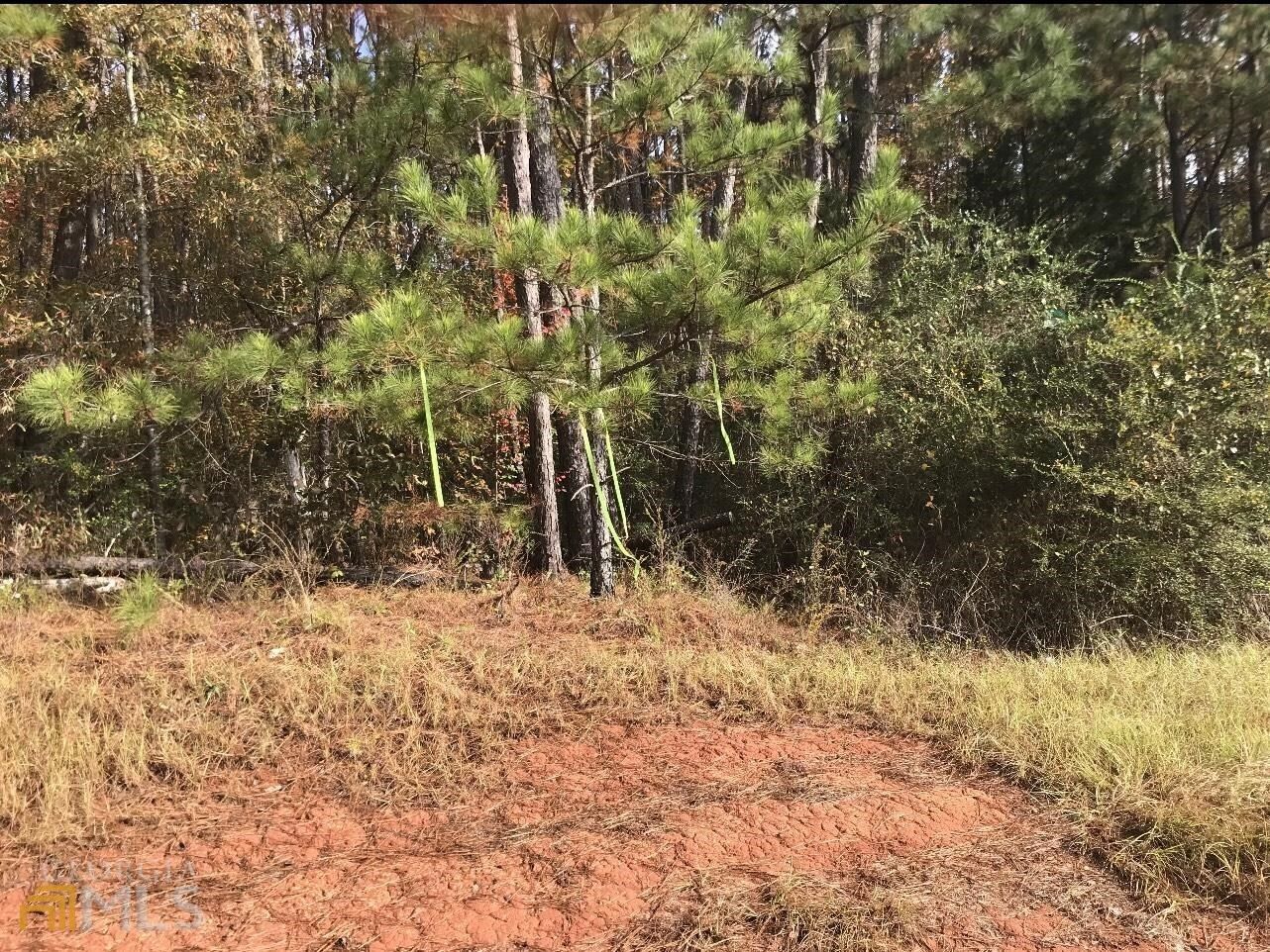 75 Acres, 0 Lower Simmons Road, Macon, GA 31220 Land and Farm