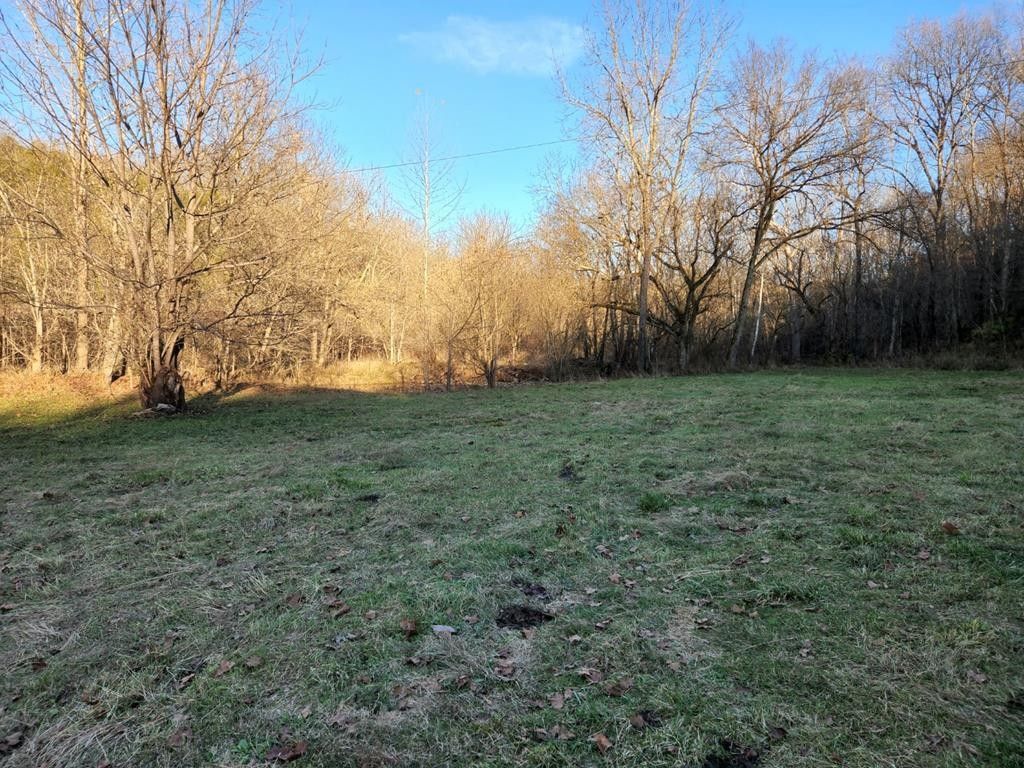 40 Acres, 507 Vice Rd., Sharpsburg, KY 40394 Land and Farm