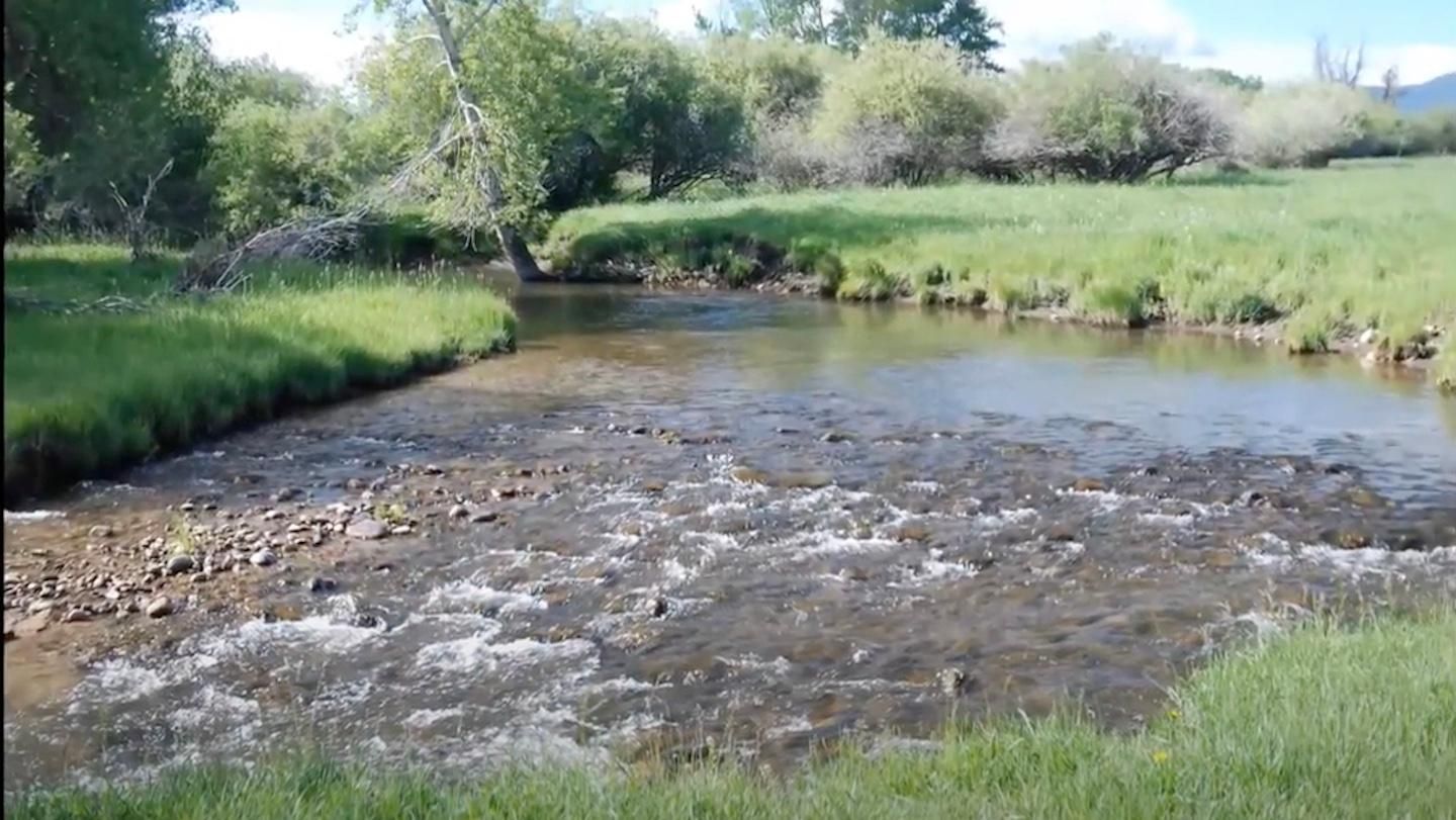 20 Acres, Pony, MT 59747 Land and Farm