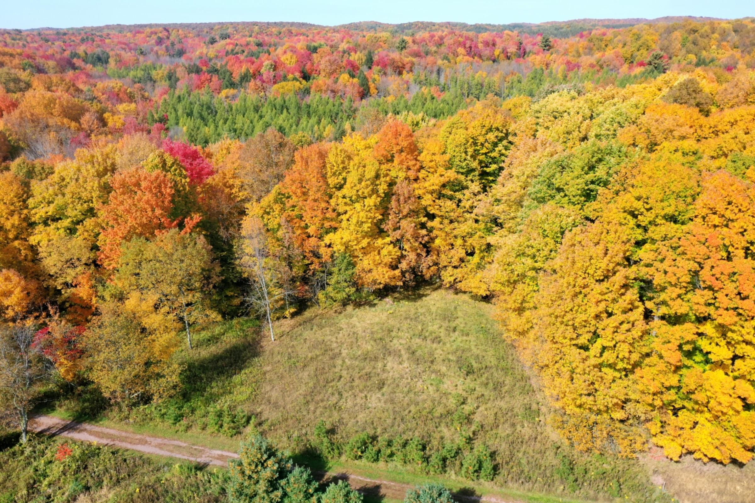Sawyer Ave, Withee, WI 54498 Land and Farm