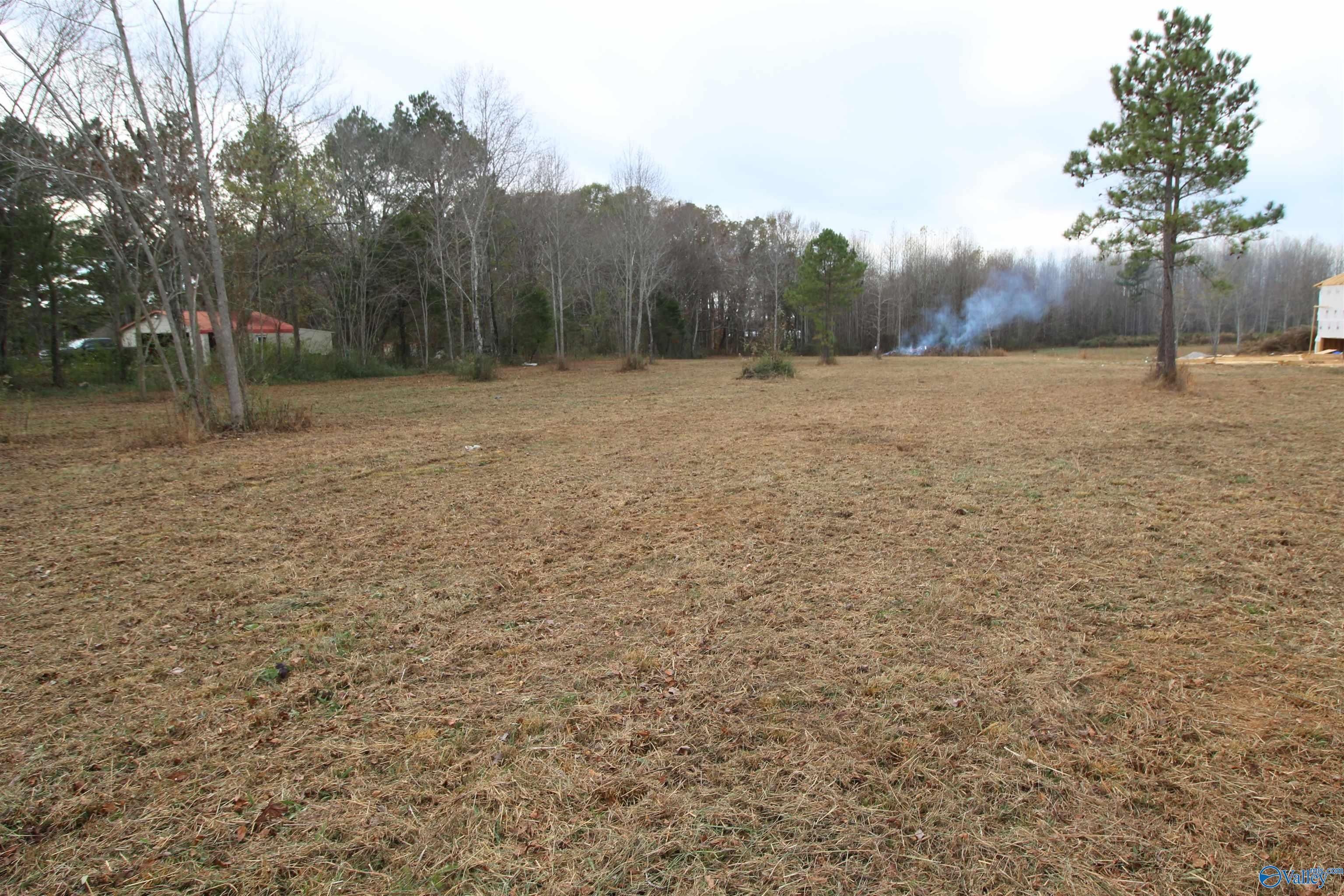 3 Acres, 0 COOK ROAD, Ardmore, AL 35739 Land and Farm