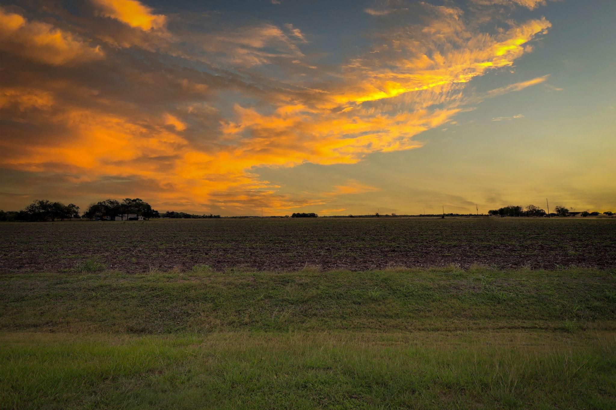 2.69 Acres, Sealy, TX 77474 Land and Farm