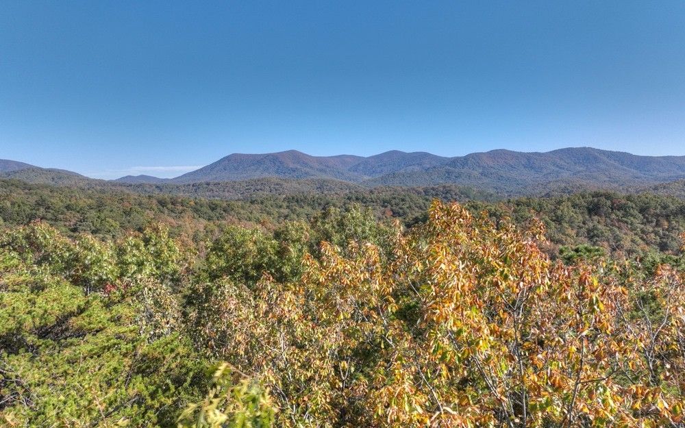 34.1 Acres, 34+AC GOOSE ISLAND RD, Cherry Log, GA 30522 Land and Farm