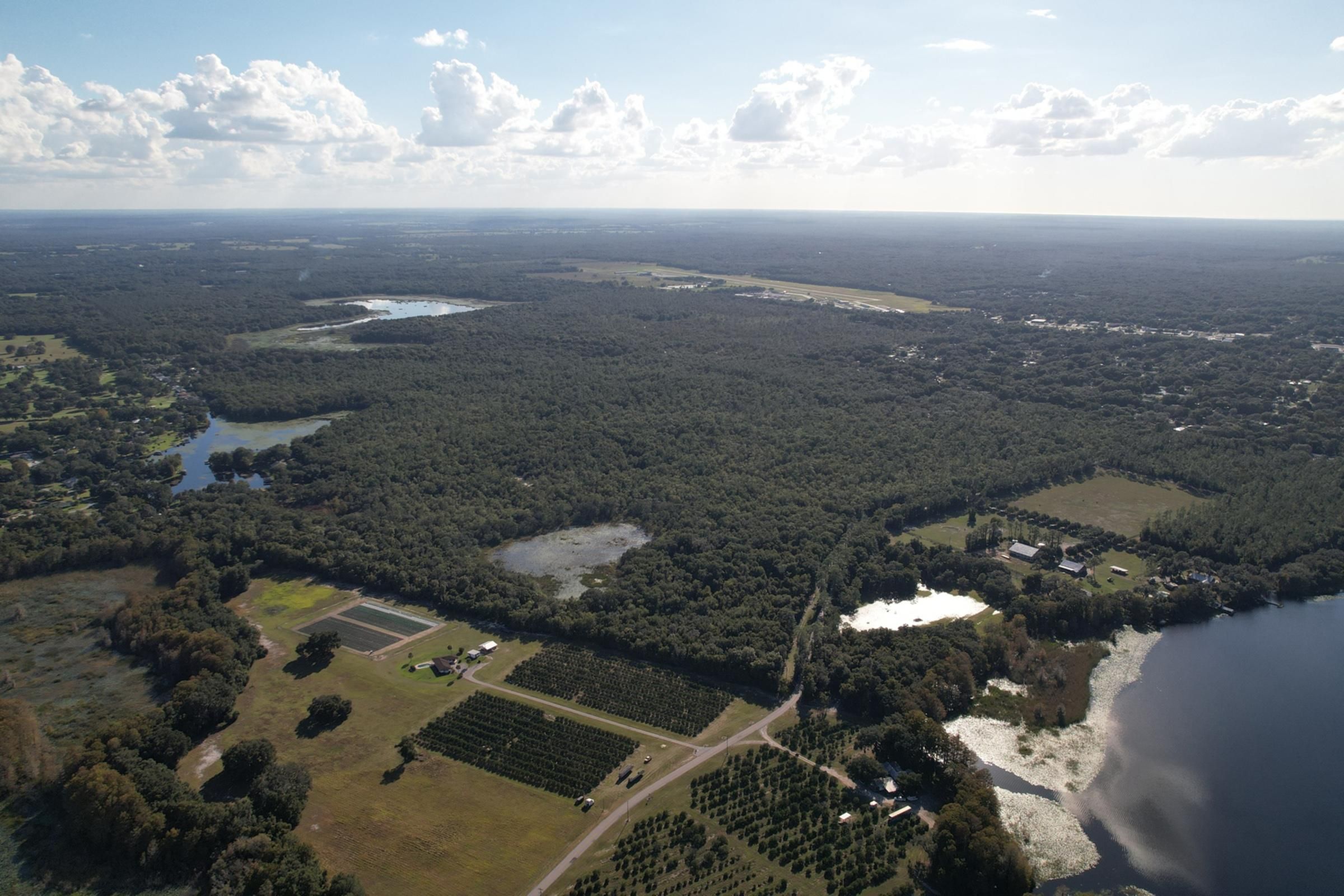 280 Acres, 3051 Old Floral City Road, Inverness, FL 34450 Land and Farm
