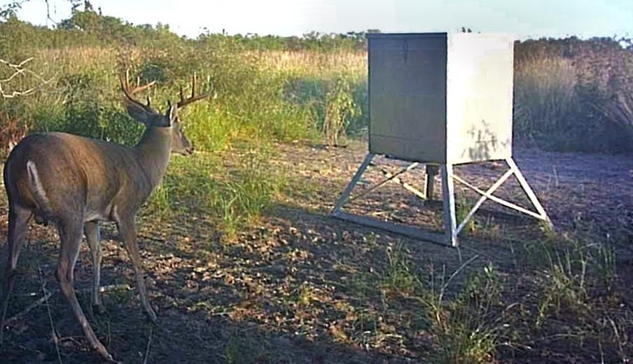 191 acres in Three Rivers, TX, 78071 Land and Farm