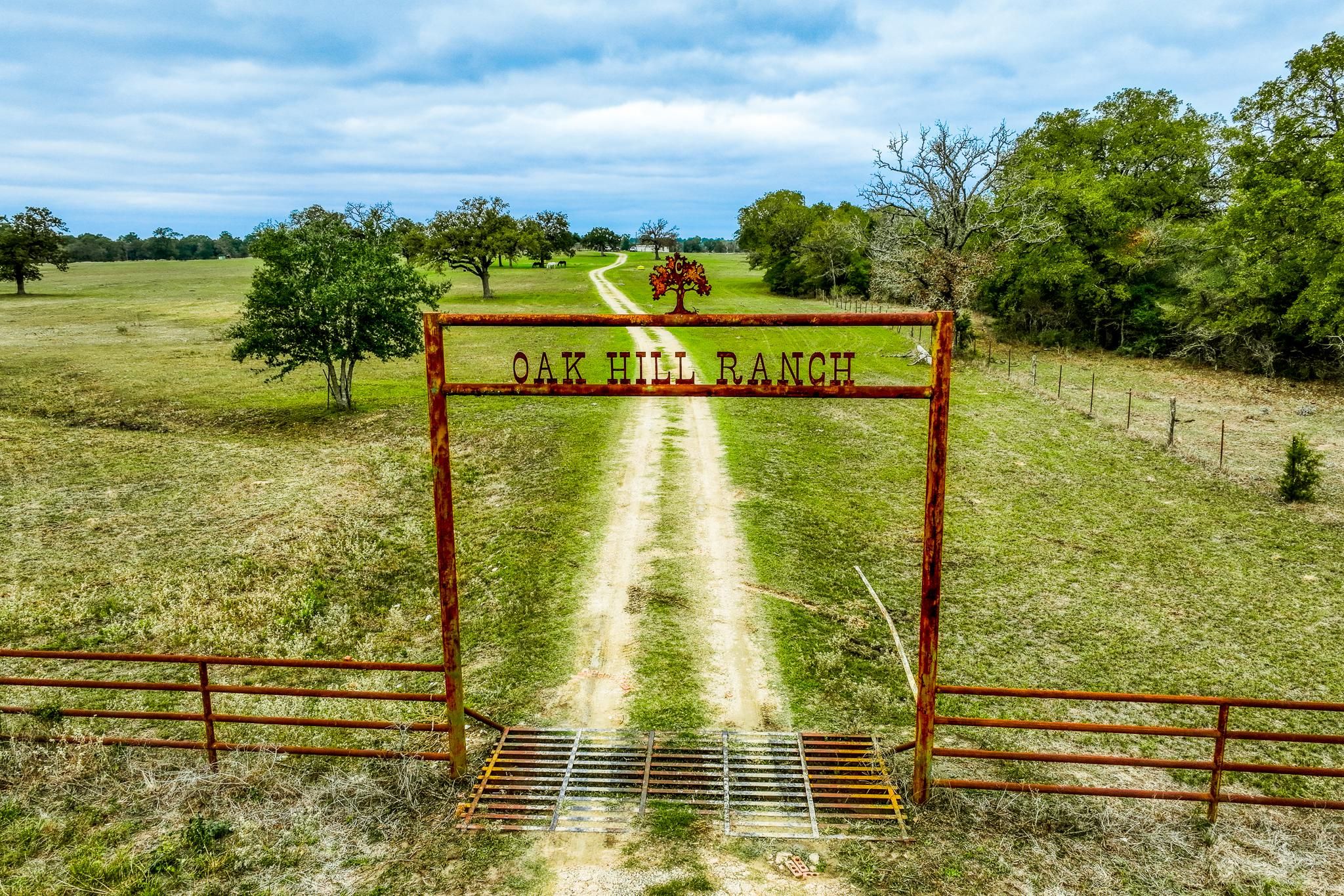 14041 Co Rd 228, Bedias, TX 77831 | Land and Farm